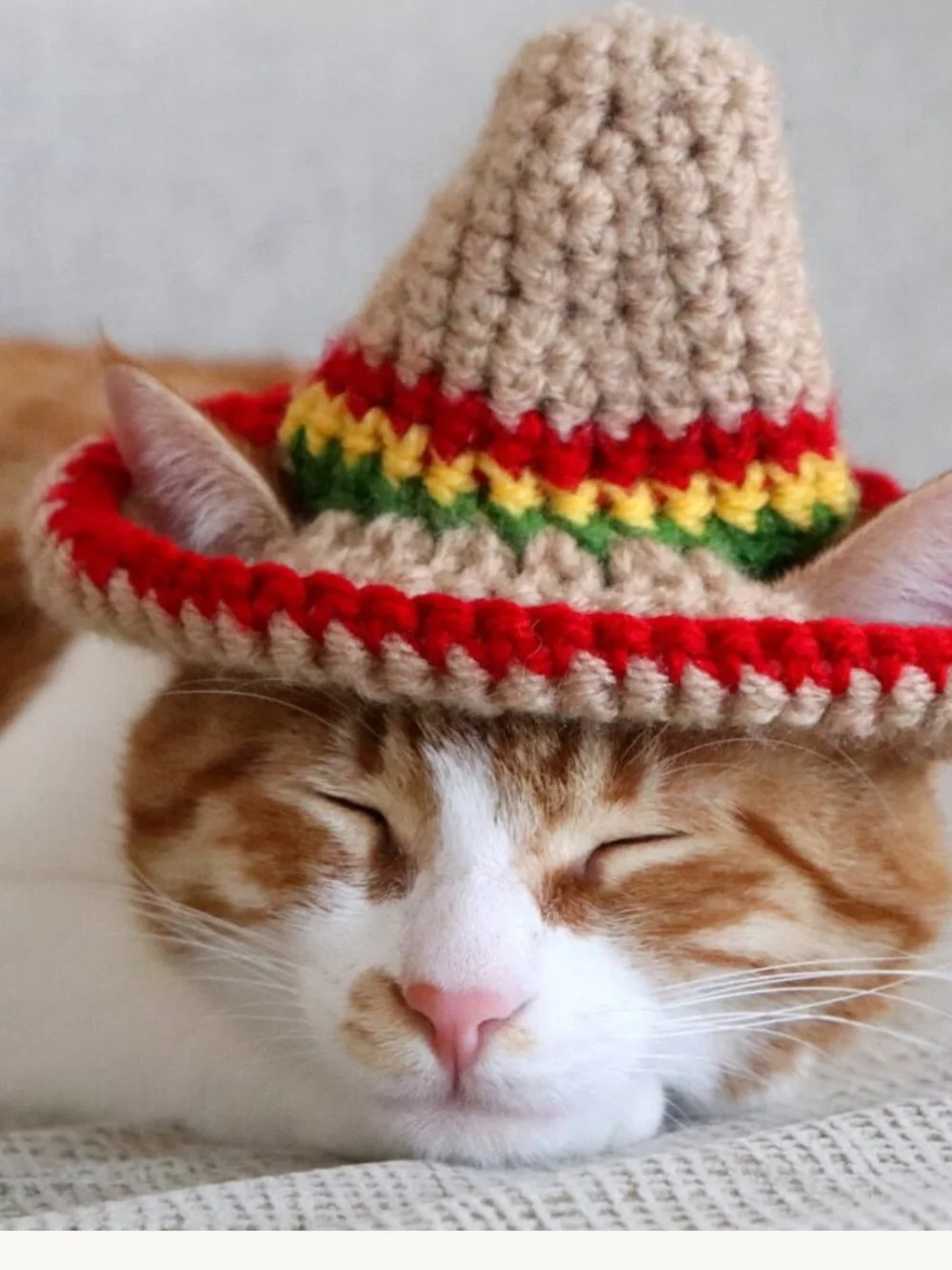 Handmade Crochet sombrero Hat & Yellow Duck Beanie Set